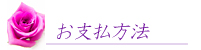 お支払方法ご説明ページへ行くボタン