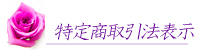 特定商取引法表記ページへ行くボタン