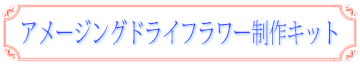 アメージングドライフラワー制作キットタイトル画像