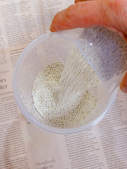 アメージングドライフラワーの作り方の説明画像,乾燥剤を容器に入れている