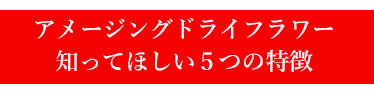 アメージングドライフラワーの特徴を知ってもらうためのタイトル画像