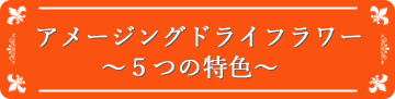 アメージングドライフラワー５つの特徴を説明するタイトル画像