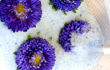 ドライフラワー用シリカゲルでアスターの花を埋めている