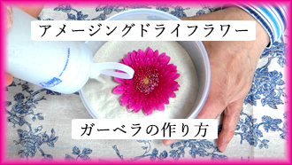 ガーベラのアメージングドライフラワーの作り方を説明するページへのリンクボタン画像