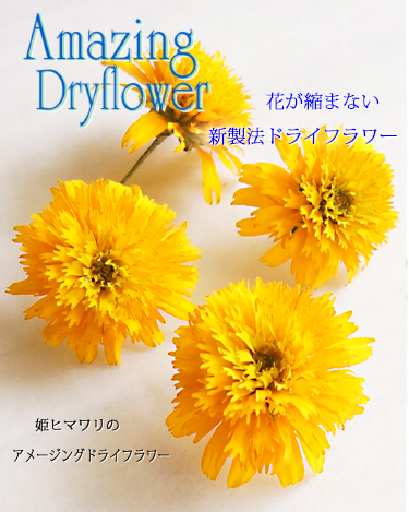 初心者でも簡単】新しいドライフラワーの作り方はシリカゲルよりきれい！