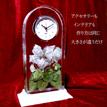 シクラメンのアメージングドライフラワーをレジンで固めて作った置時計の画像