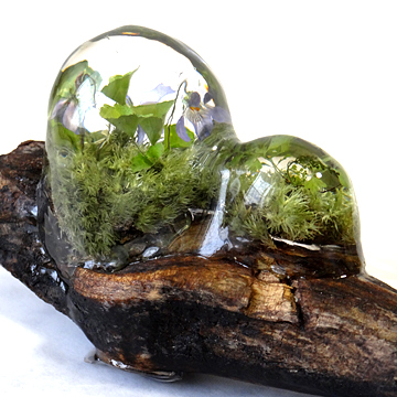 山野草や苔のアメージングドライフラワーを封入して流木と融合させたレジンテラリウム作品