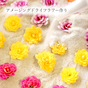 アメージングドライフラワーを作っている作業の画像