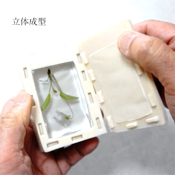 両面シリコンモールドで固めたレジンを取り出している作業の画像