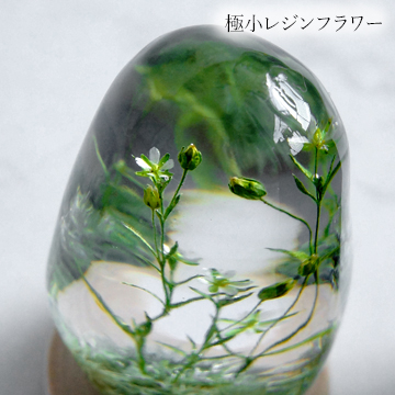 とても小さい花のアメージングドライフラワーをレジンで固めて作った作品の画像
