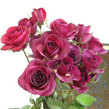 バラのアメージングドライフラワーの花束の画像