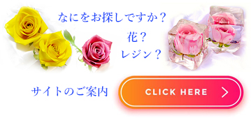 サイトの案内ページへのリンクボタン画像