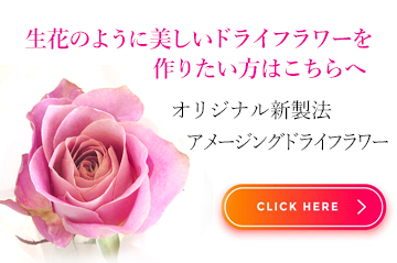 ピンクのバラのアメージングドライフラワー画像