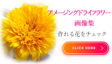 黄色いヒマワリのアメージングドライフラワー画像