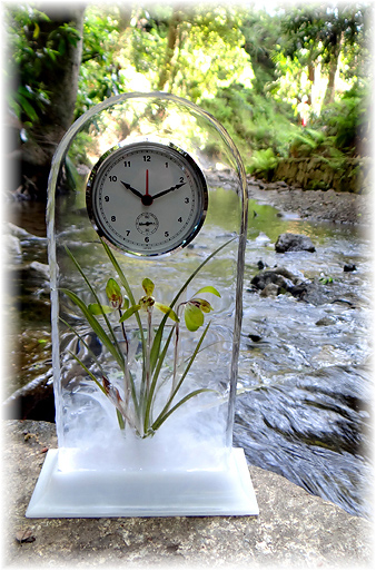 山野草シュンランのドライフラワーをレジンで固めて作った置時計