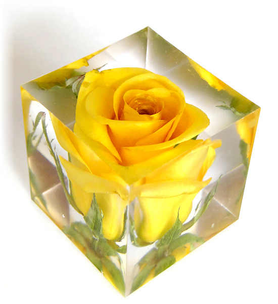 黄色いバラも花のアメージングドライフラワーをキューブのレジンに閉じ込めたレジンフラワー