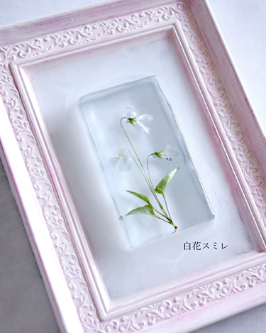 スミレの花の半立体アメージングドライフラワーをレジンに固めたフレームの画像