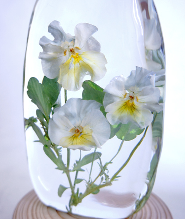 レジンにパンジーの花のドライフラワーを固めた作品の画像