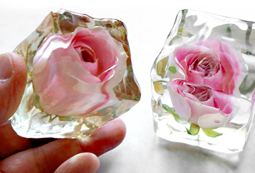 レジンに封入して６年経過したピンク色のバラの花のアメージングドライフラワー画像