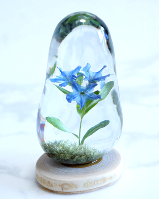 ホタルカズラの花のドライフラワーをレジンに固めた作品の画像