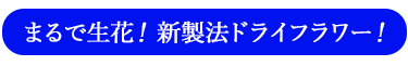 オリジナルドライフラワー製法を説明する項目へのリンクボタン画像