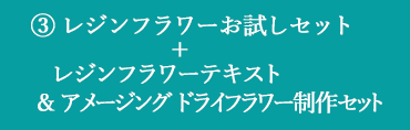 お試しセットとレジフラワーテキスト＆アメージングドライフラワー制作セットをまとめて注文するタイトル画像