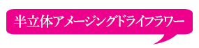 半立体アメージングドライフラワーのタイトル画像
