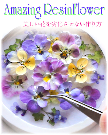 ビオラのアメージングドライフラワーをレジンに封入している作業画像